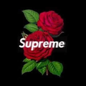 Meet your Posher, Gigi